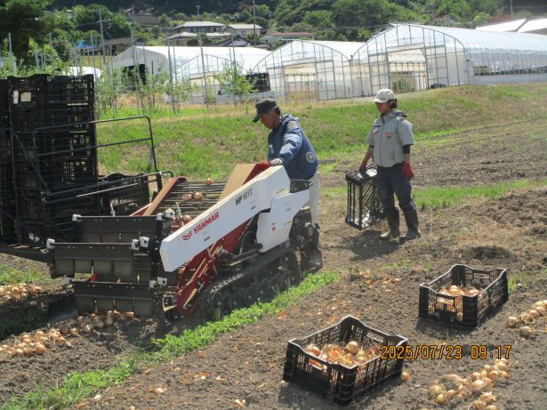 小町ファームページ サンファーム小友